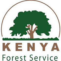 img-forest.jpg