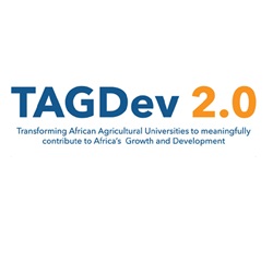 img-tagdev2.jpg