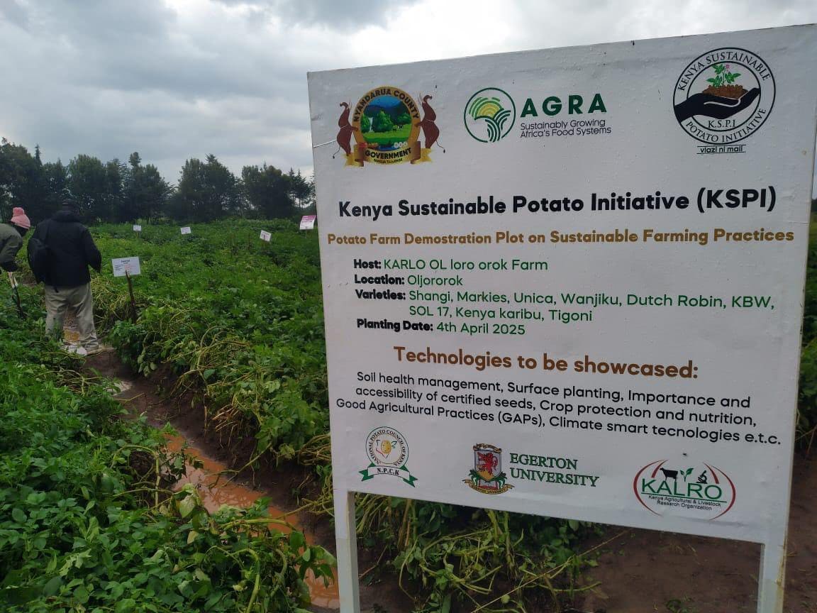Empowering Farmers with Climate Smart Agriculture: A Collaborative Effort Across Counties