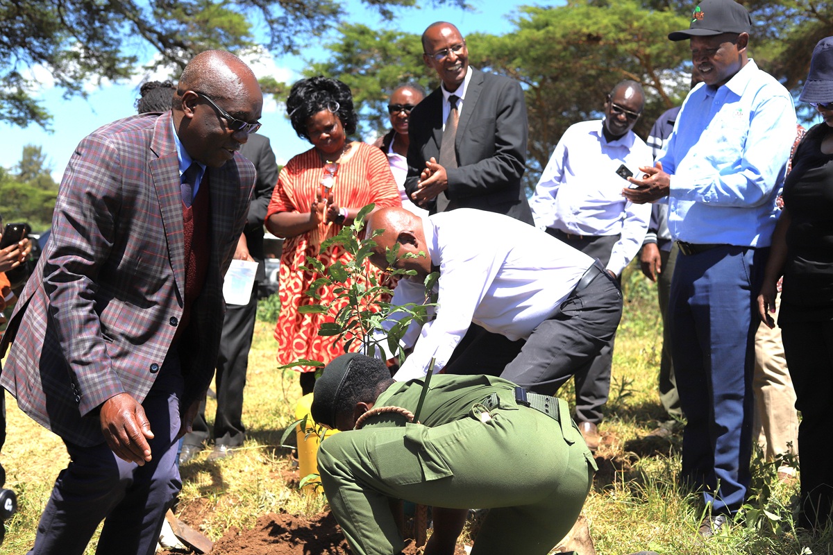 vc_planting_trees