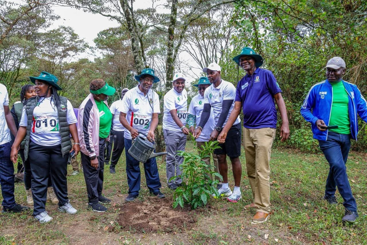 tree_planting
