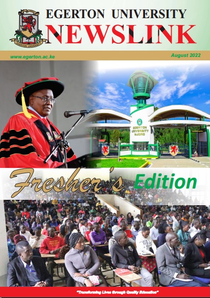 Newslink Fresher's Edition