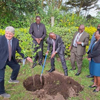 Dvc Tree Planting
