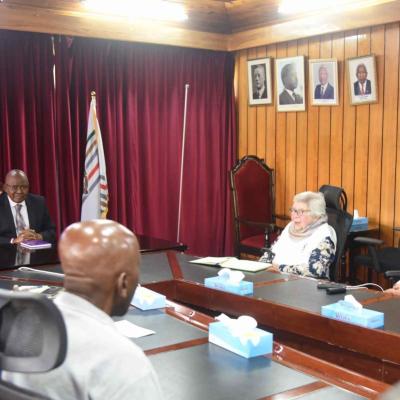 33